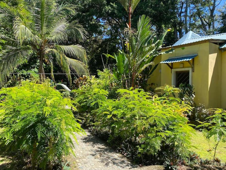 Private Villa On 2-Acres Of Jungle Garden & Pool Manzanillo  Luaran gambar