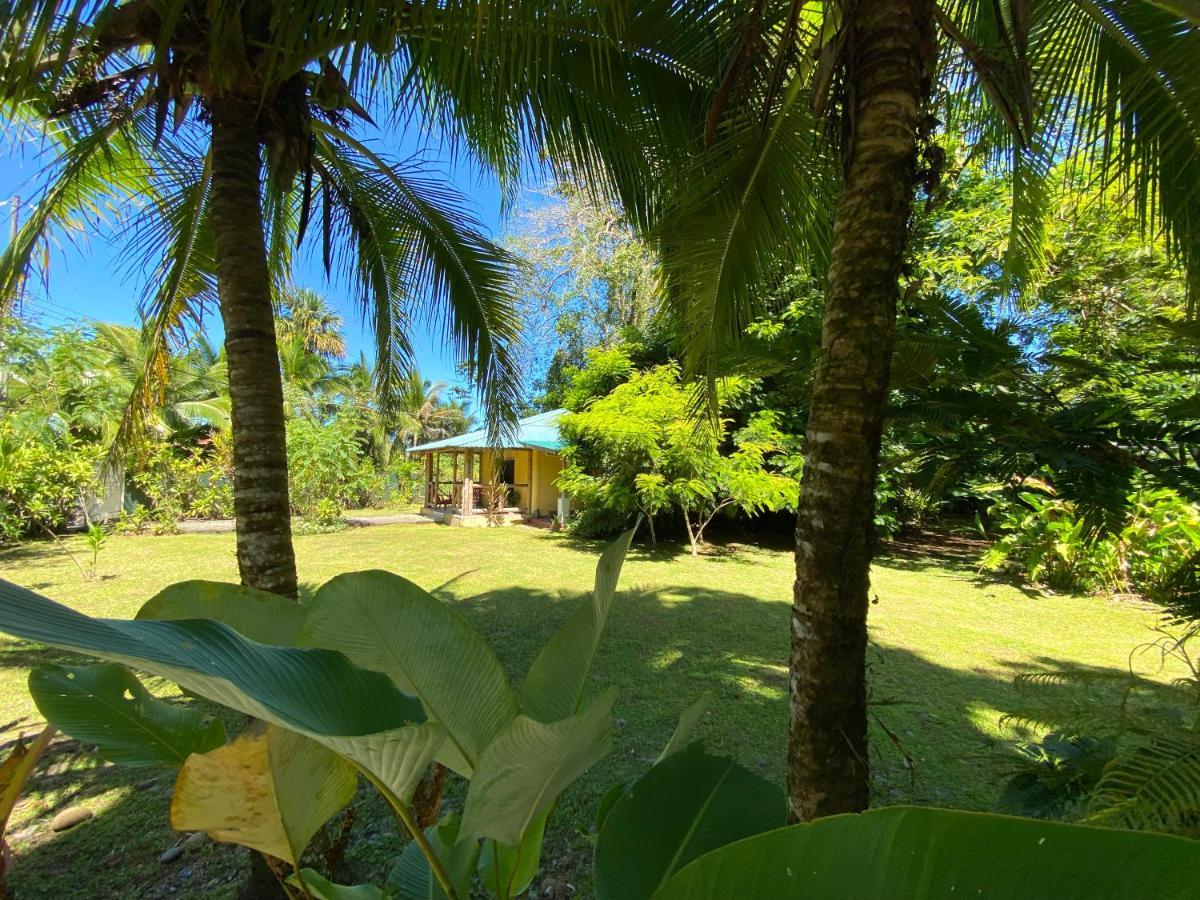 Private Villa On 2-Acres Of Jungle Garden & Pool Manzanillo  Luaran gambar