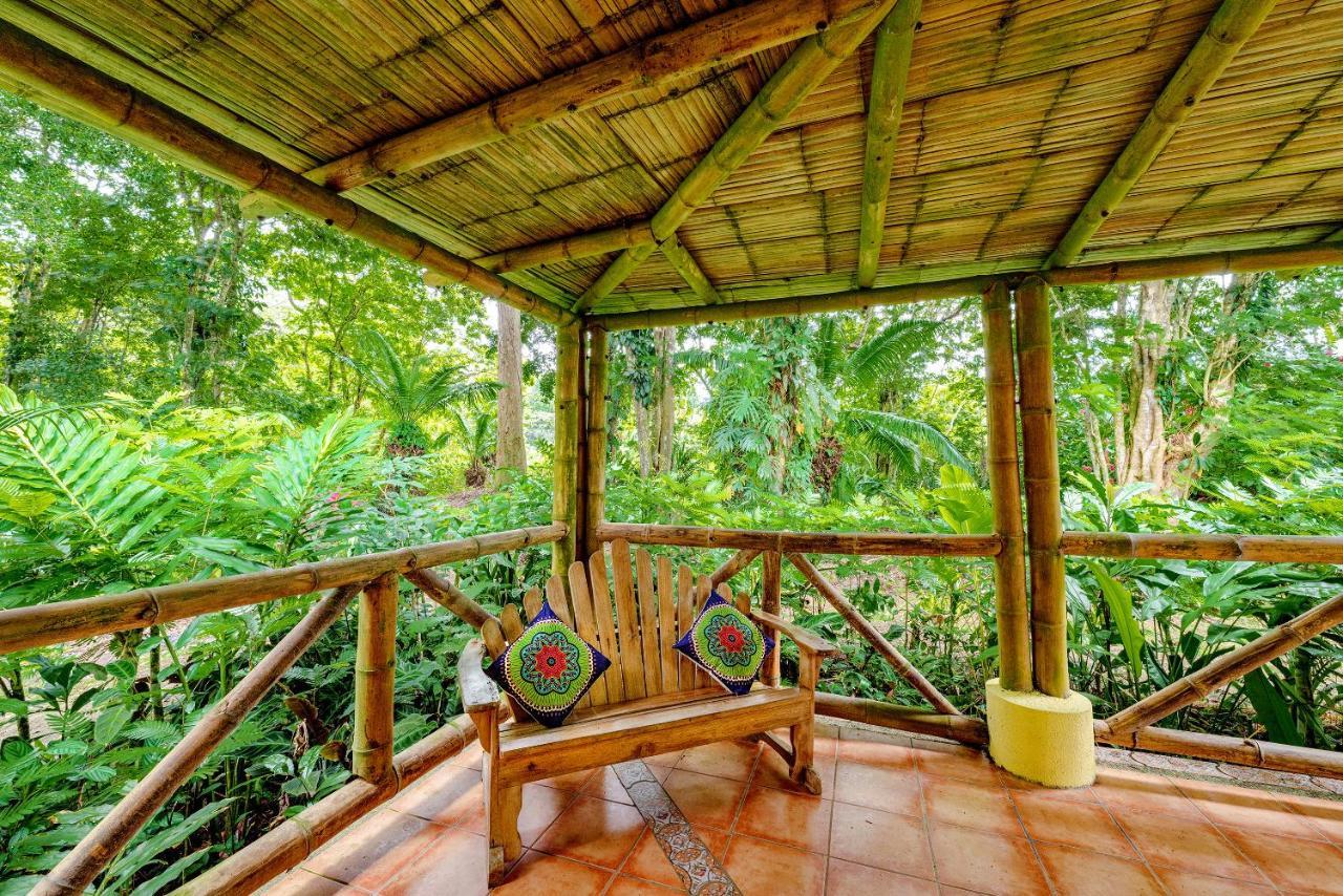 Private Villa On 2-Acres Of Jungle Garden & Pool Manzanillo  Luaran gambar