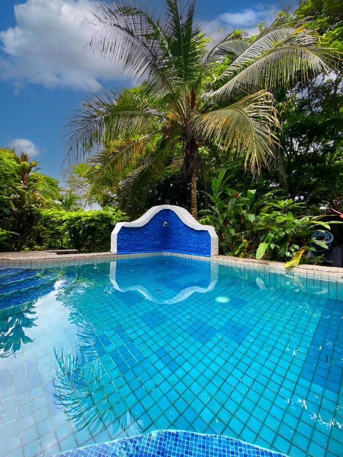 Private Villa On 2-Acres Of Jungle Garden & Pool Manzanillo  Luaran gambar